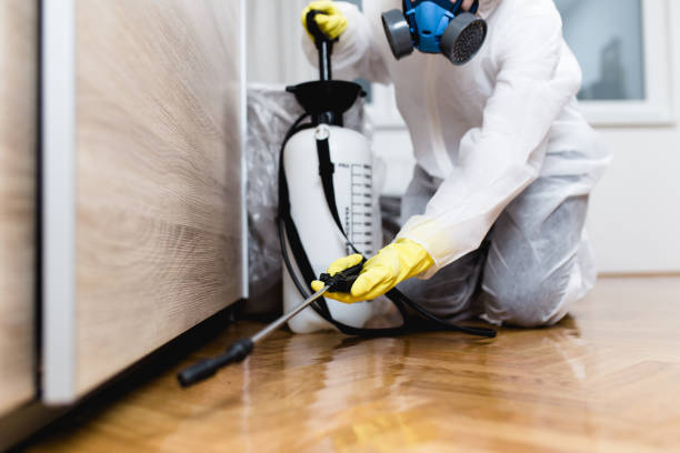 Best Affordable Pest Control Services  in Bonita Springs, FL