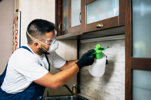 Best Best Pest Control Companies  in Bonita Springs, FL