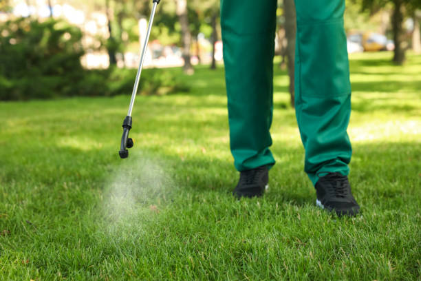 Best Local Pest Control Services  in Bonita Springs, FL