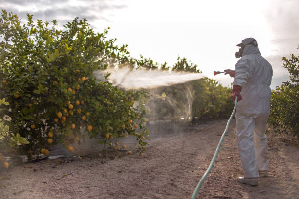 Best Pest Removal Services  in Bonita Springs, FL