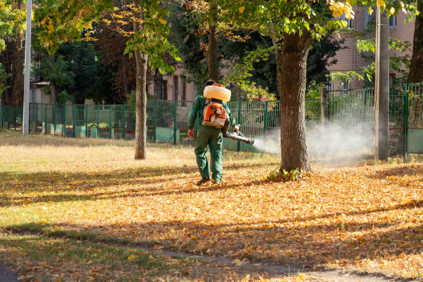 Best Pest Control Near Me in Bonita Springs, FL