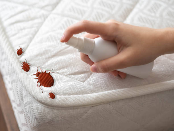 Best Mosquito Control Services  in Bonita Springs, FL