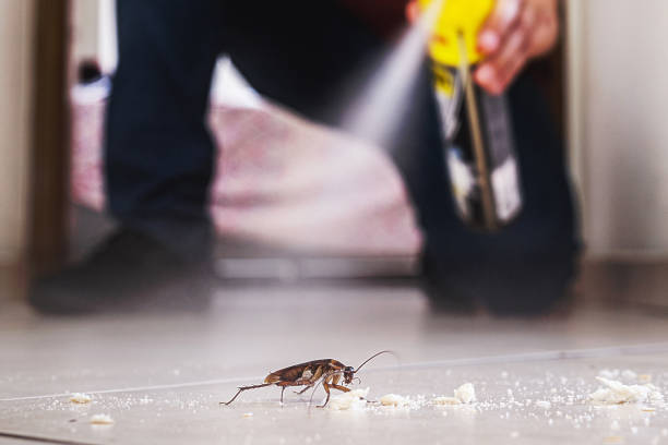 Best Rat Extermination Near Me  in Bonita Springs, FL